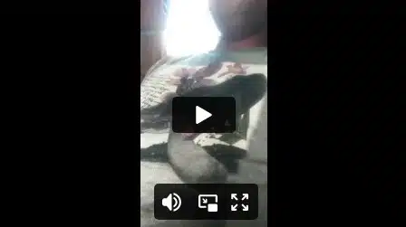 Pacto de riqueza, Amarração Amorosa